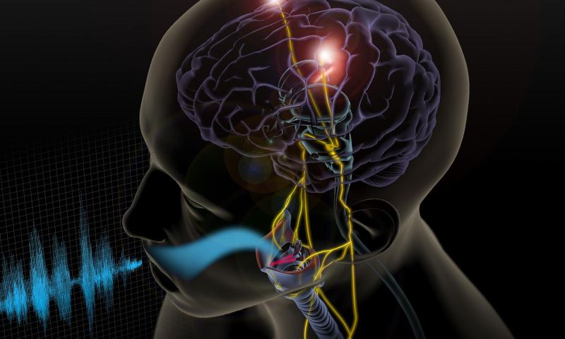 Neuro-ingenieurs vertalen breinsignalen direct naar spraak