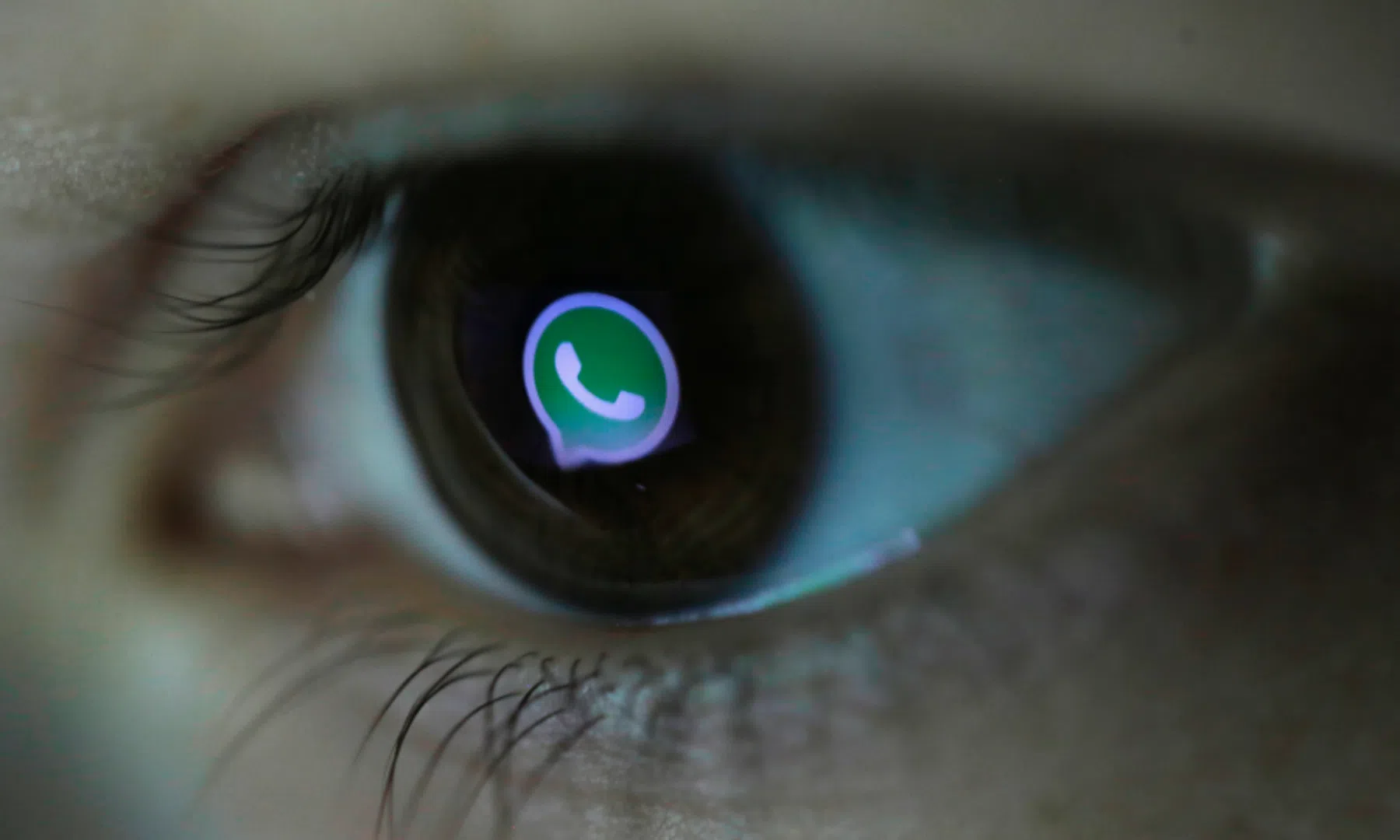'Verwijderde WhatsApp-chats niet volledig gewist'
