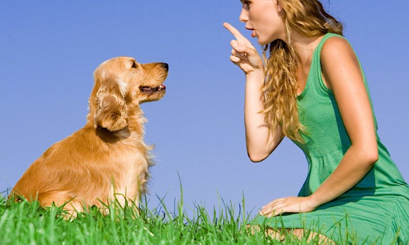 Amazon-rapport voorspelt 'praten met huisdieren'