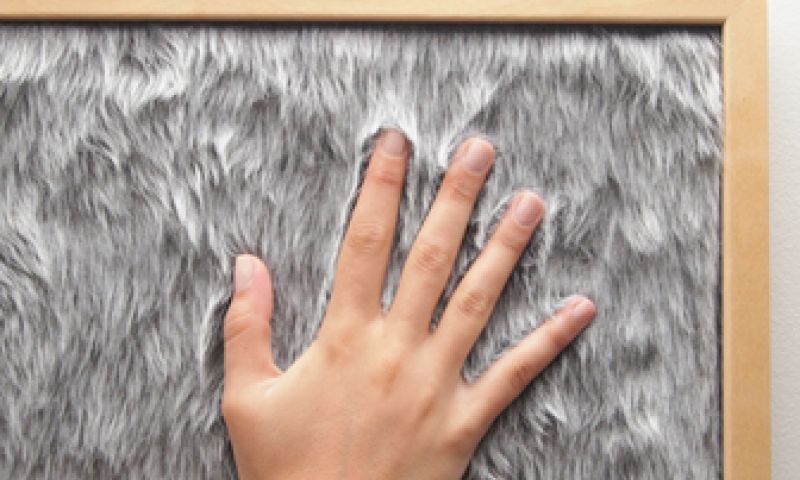 Kattebelletjes in nepbont