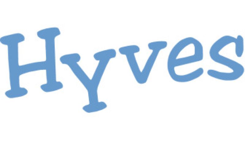 Nederlandse drukte op Hyves en LinkedIn