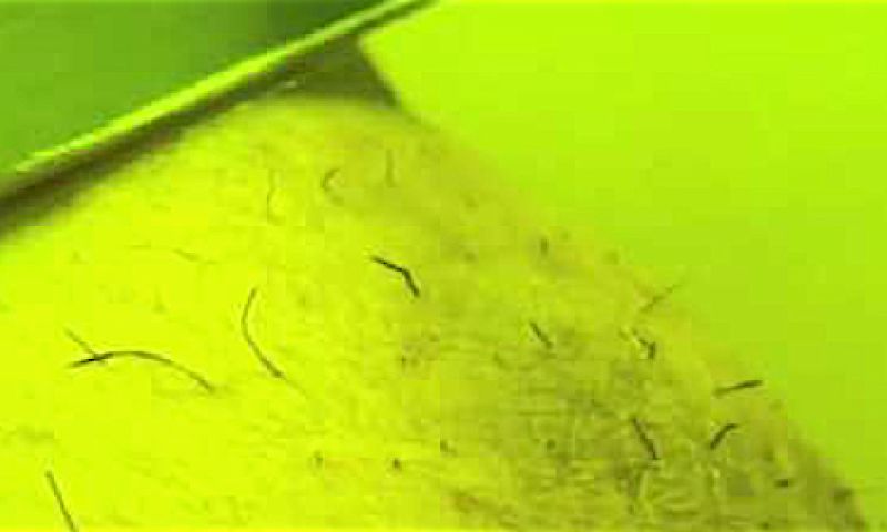 Kickstarter doet populair 'laserscheermesje' in de ban (update)