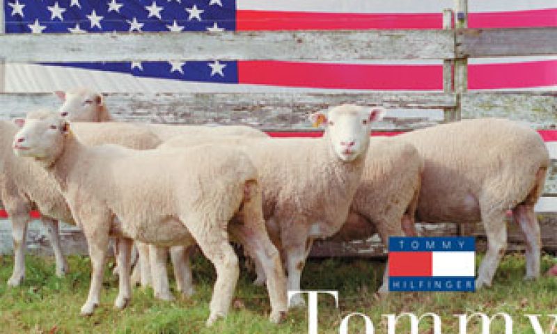 Maak een spoof ad voor het Graphic Design Festival