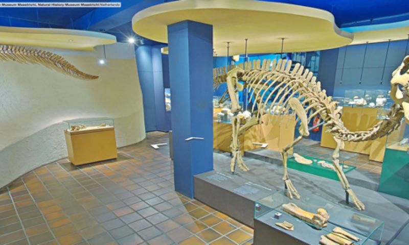 Google Maps trakteert op 12 toffe Street Views