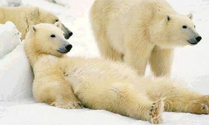 Nog eentje dan: Favour fixt alles wat je wil