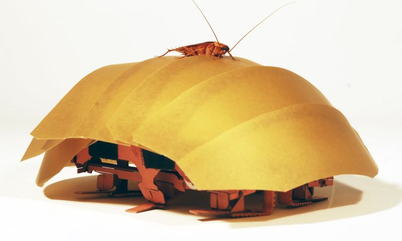 Deze 'robotkakkerlak' moet levens gaan redden