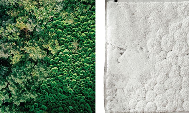 Een stukje Google Earth als kleed op de vloer