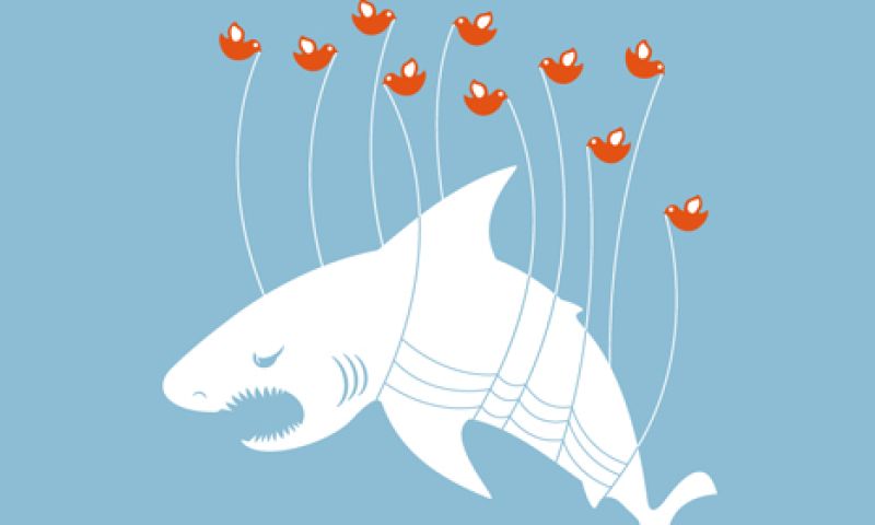Haaien sturen tweets naar surfers en zwemmers