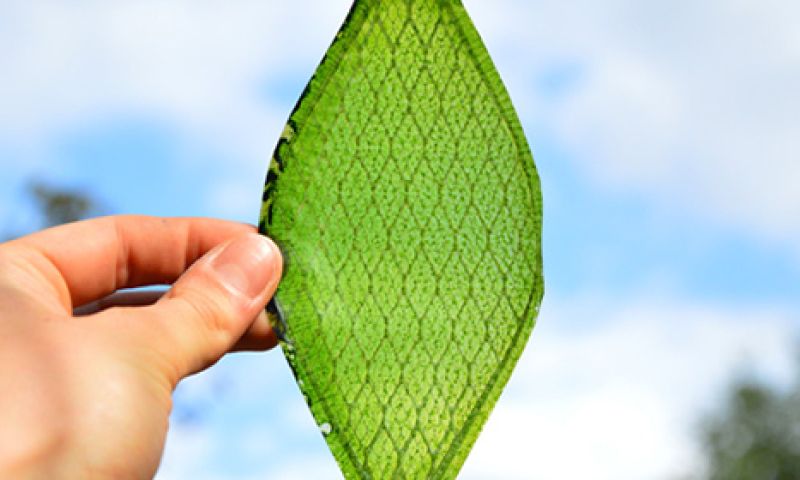 Kunnen we door dit blad ademen in de ruimte?