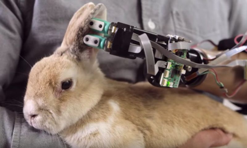 Reddit maakt nu ook documentaires