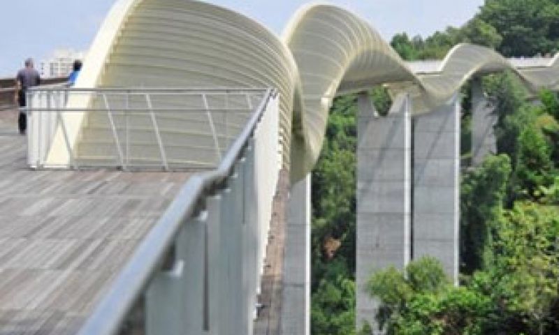 Met je neus in de bomen