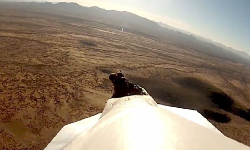 Video: grootste papieren vliegtuig ooit