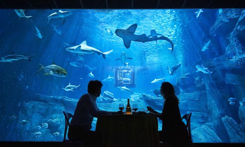 Met AirBNB slapen tussen de haaien in Parijs