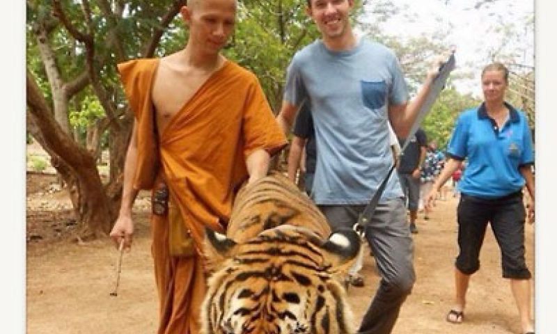 Rage op Tinder: mannen poseren met tijgers