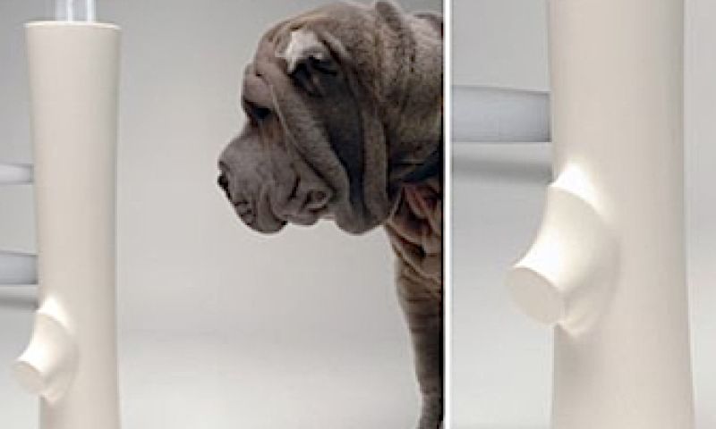 Decoratie voor de hond