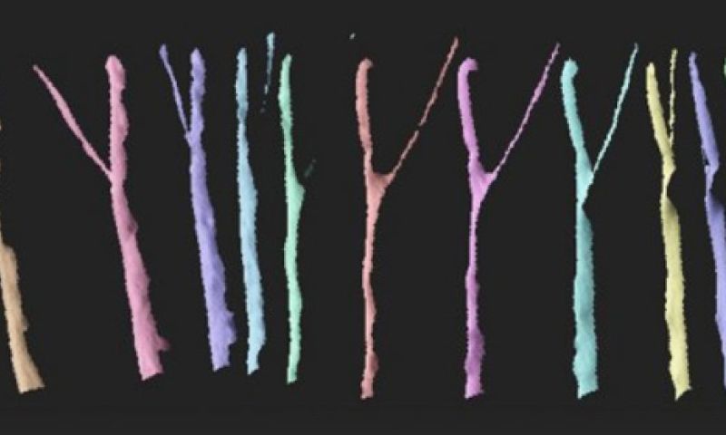 Wetenschappers ontwikkelen 3D-geprinte zenuwgeleider