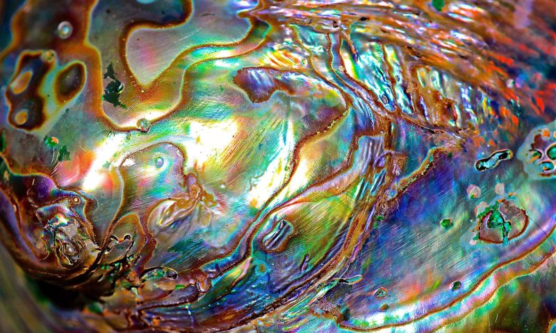 Parelmoer inspiratie voor plastic sterker dan staal