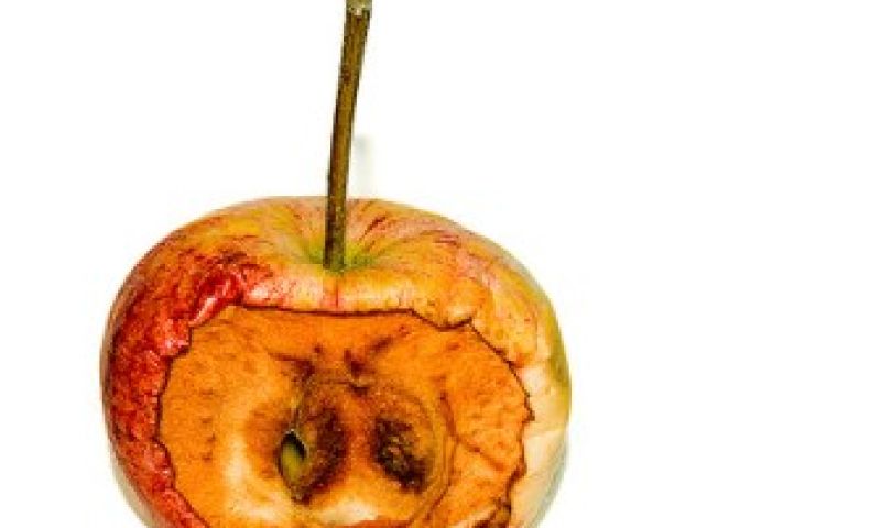 Apple blokkeert Google Voice