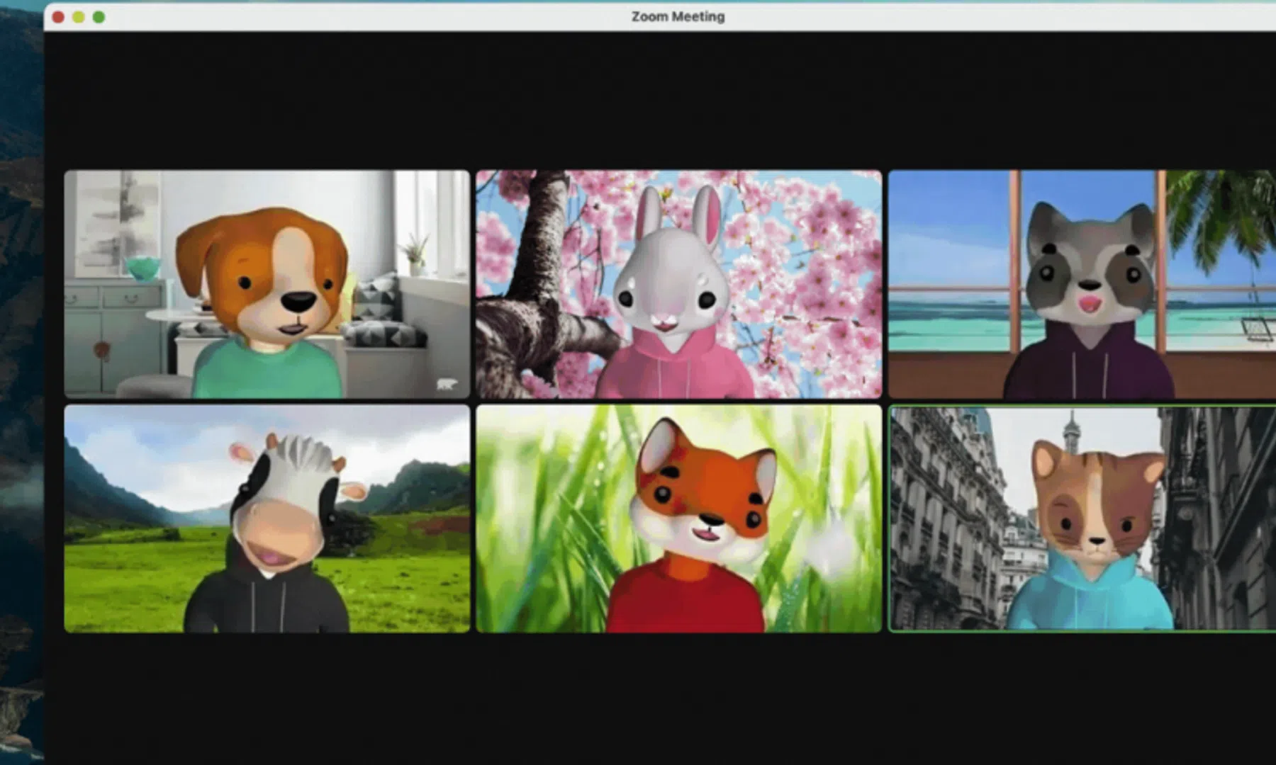 Zoom videochat avatar dieren filter Augmented Reality