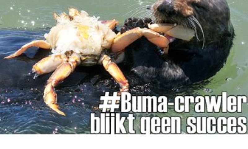 BUMA-blocker voor je blog