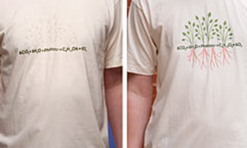 T-shirt voor in de zon