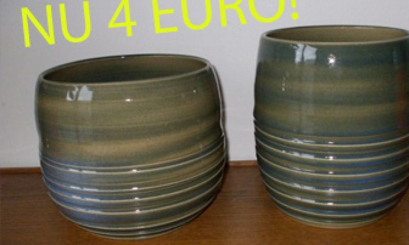 Een eigen webwinkel in 12 weken