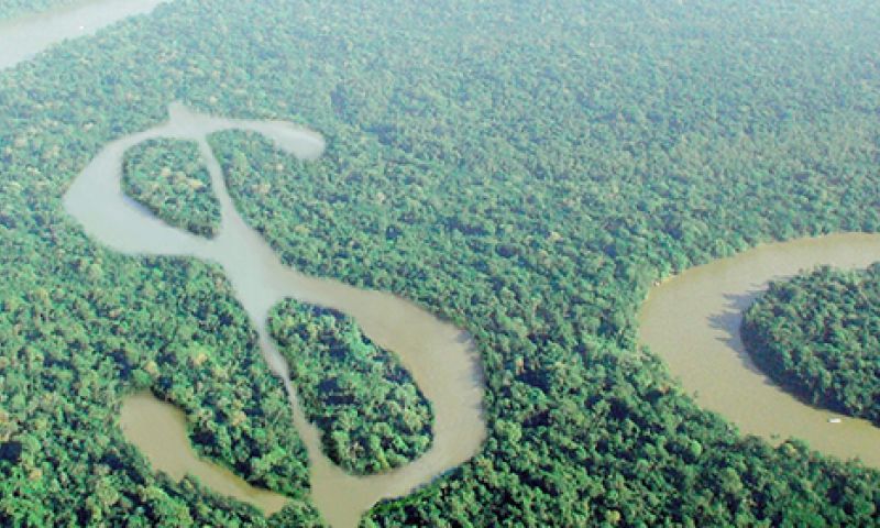 DDW: Lancering 'Next Nature Network' en een milieu-muntstelsel