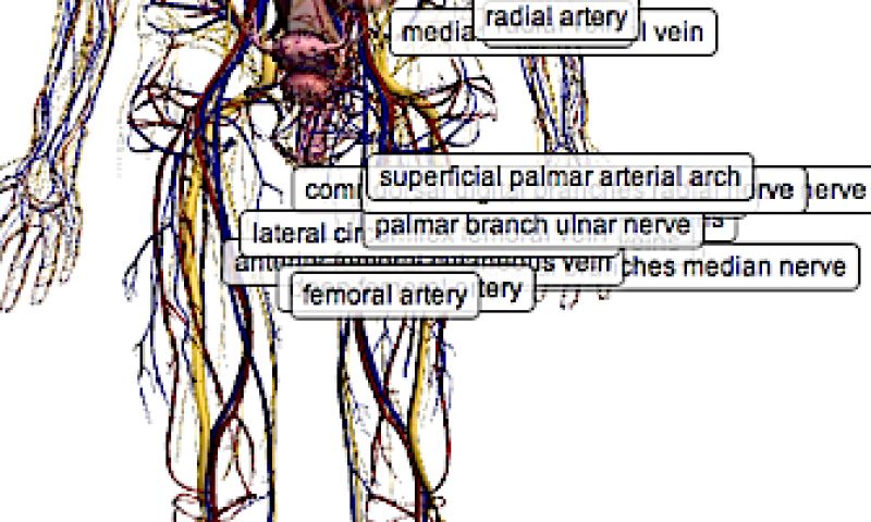 Browsen door je body