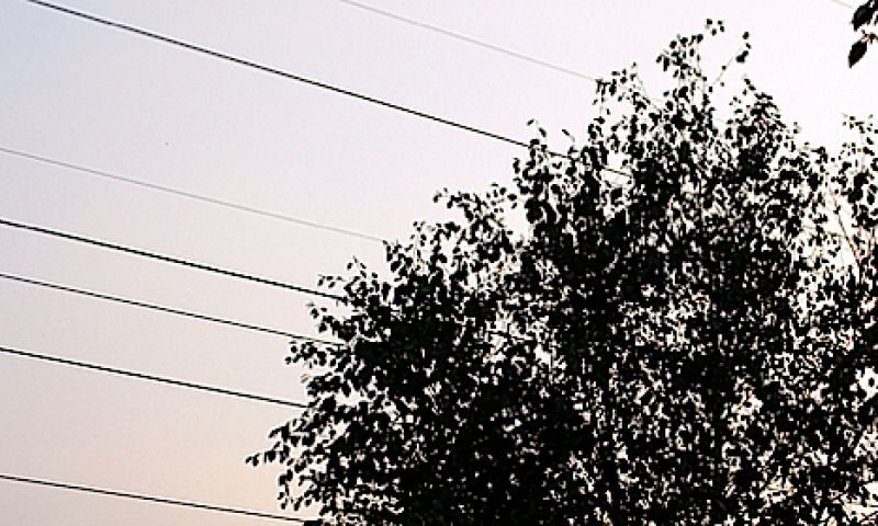 Stroom halen uit planten breekt door