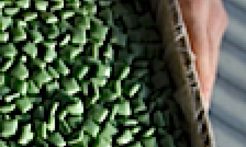 Kauwen voor het milieu