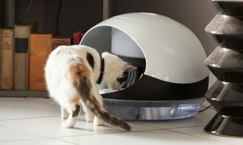 Slimme kattenvoerbak weet wat je kat eet
