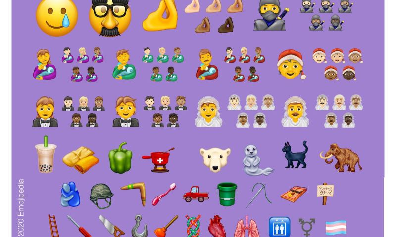 nieuwe emoji transgender transgendervlag ninja zwarte kat