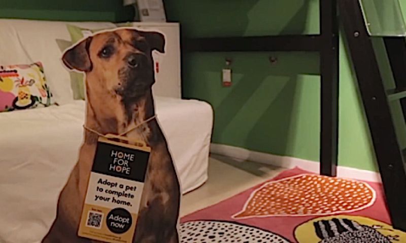Mee met de bank? Ikea verkoopt nu ook huisdieren
