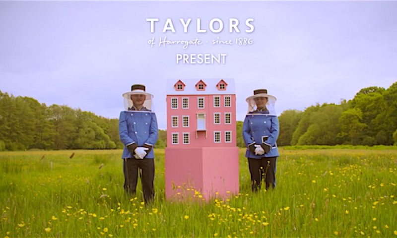 Video: Grand Beedapest Hotel, bijenhotel à la Wes Anderson