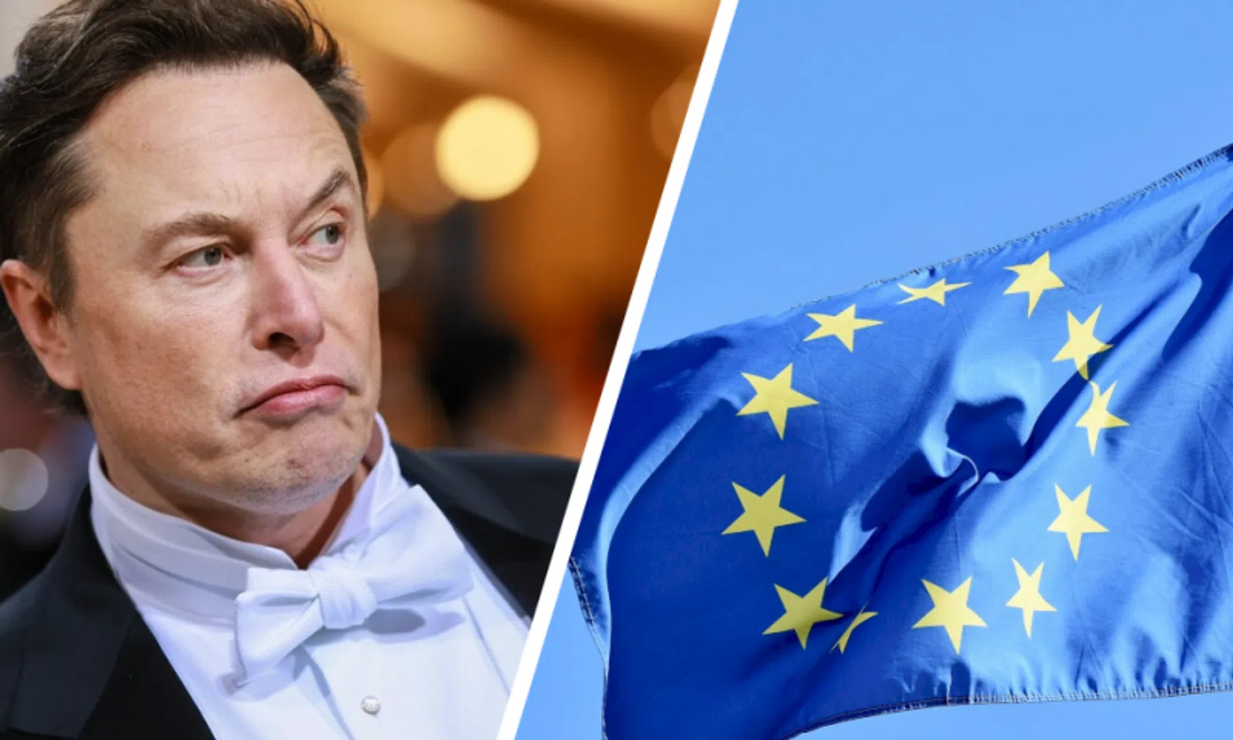 twitter elon musk europees parlement europarlement sophie in t veld