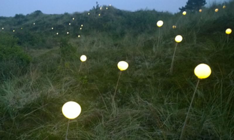 Lichtbollen tonen deinende duinen