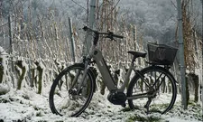 Thumbnail for article: Diefstal e-bikes neemt fors toe: 'Georganiseerde bendes'
