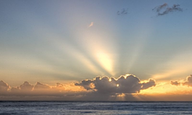 Zonnecellen uit een spuitbus