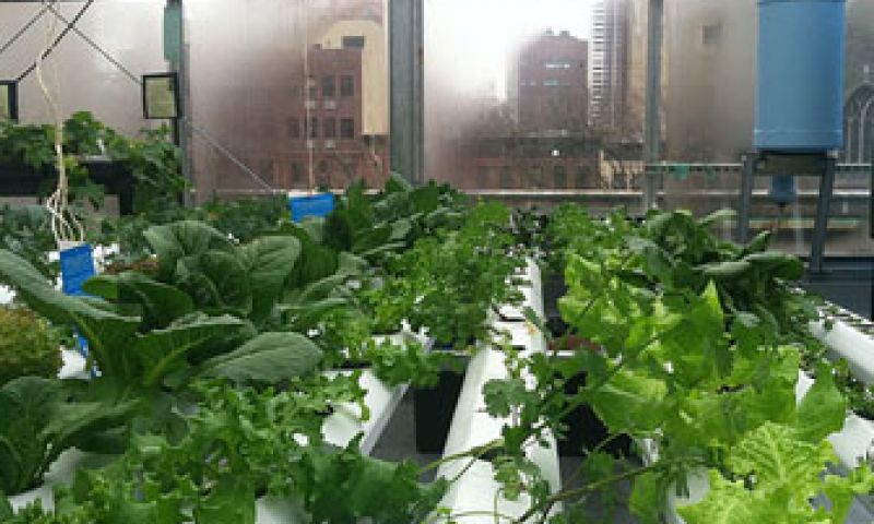 Supermarkt met groenten en fruit op het dak