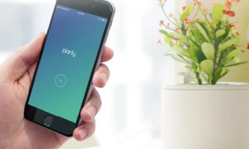 Weer dode plant in je vensterbank? Koop een slimme bloempot