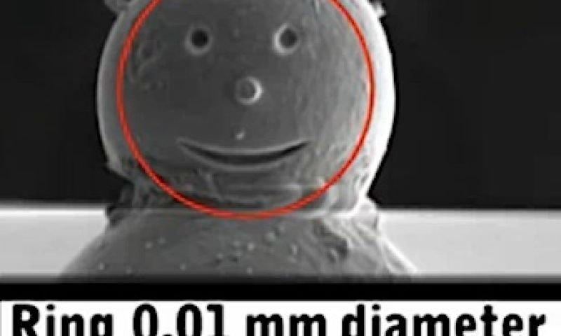 De kleinste sneeuwman ter wereld