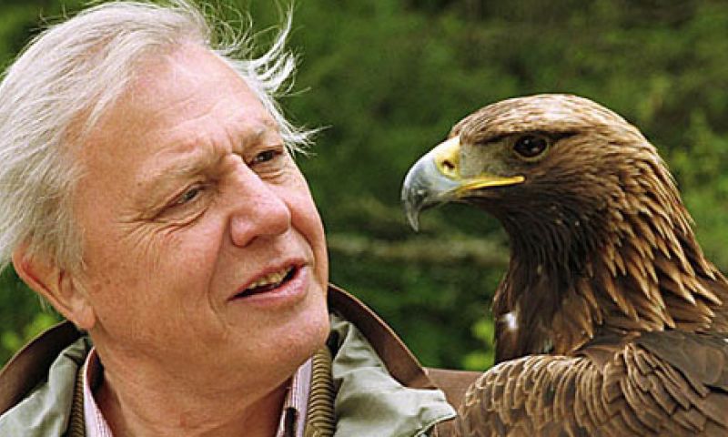 De natuur in 360 graden: Attenborough meets Oculus