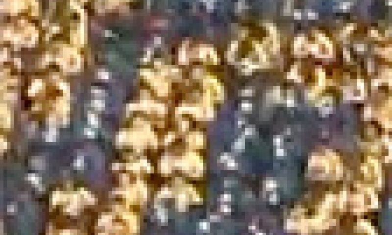 Menselijk lcd-scherm