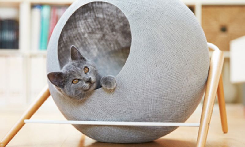 Designcocons voor je katten