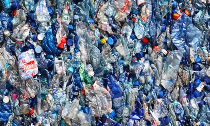 Helpt deze bacterie ons af van de 'plasticberg'?