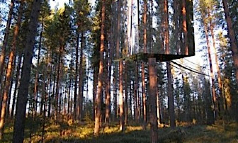 Architectonisch liefdesnestje in een boom