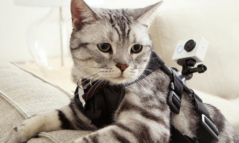 Xiaomi richt pijlen op GoPro met eigen actiecamera