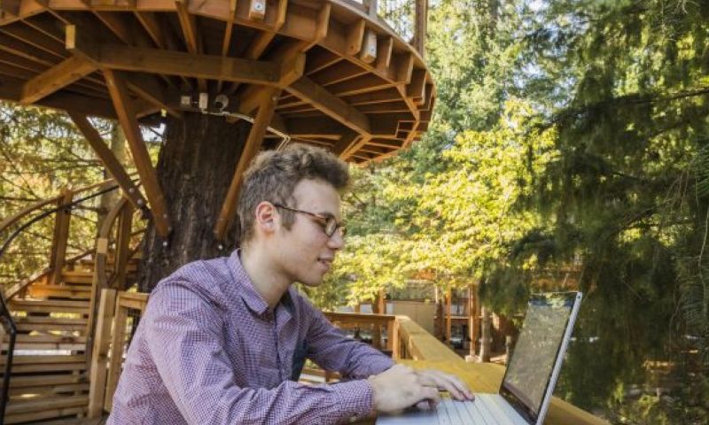 Microsoft bouwt boomhutten voor zijn werknemers