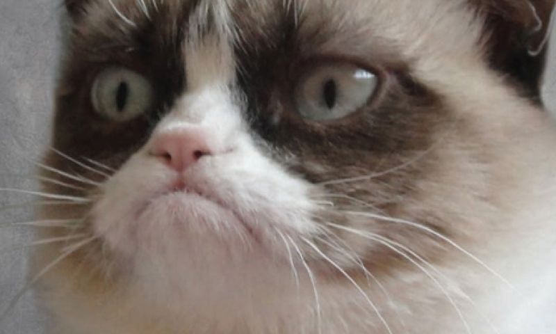 De koning van de pageviews