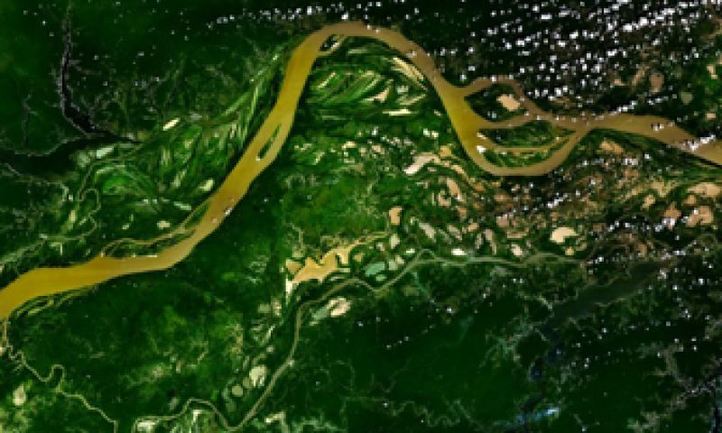 Sensor traceert illegaal gekapt hout uit de Amazone